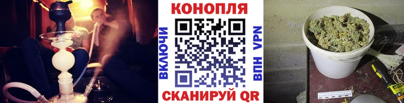 Каннабис OG Kush  Медынь 